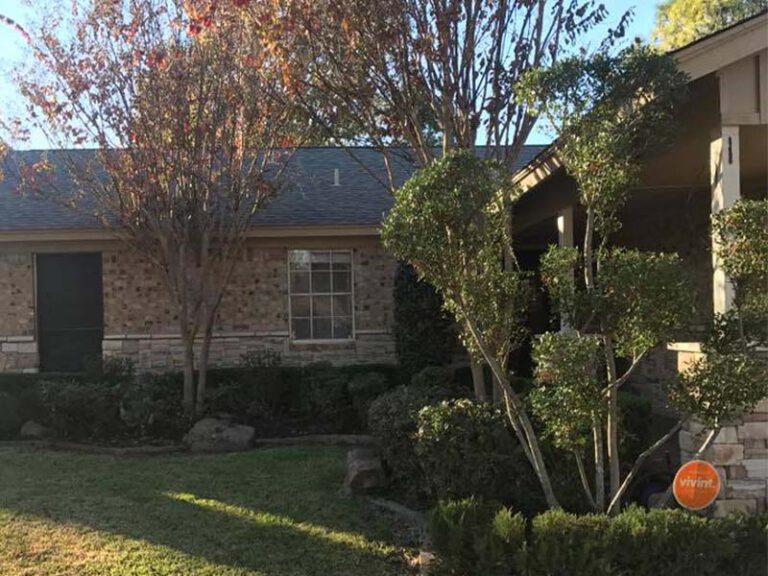 Denton Tree Service Denton Tree Service